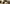 A dog sitting in a cozy living room, surrounded by toys and furniture, with a focus on how to kill dog urine smell.
