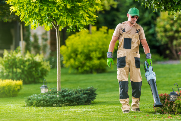 Spring Clean Up Generic How to Do a Spring Clean-Up Like a Pro (Step-by-Step Guide) – Narwal ...