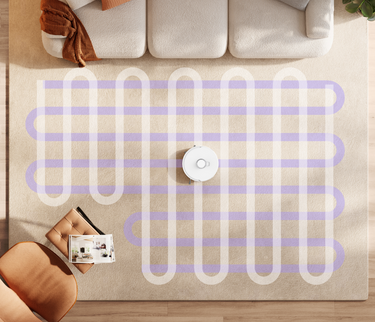 Frame_1312318731_cee685e3-bc6e-4aac-8947-e81ce199bd29