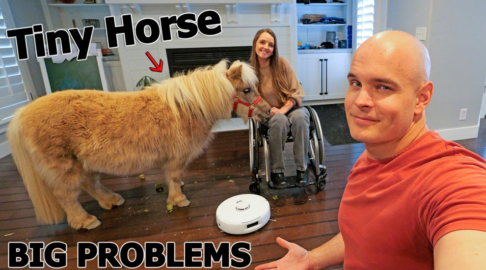 Robot Vacuum cleaning horse hair video
